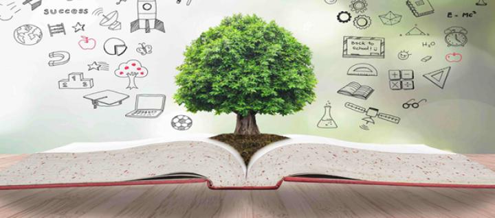 Financial Education 2021 (Tree sprouting out of book)
