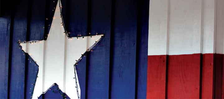 Texas Flag